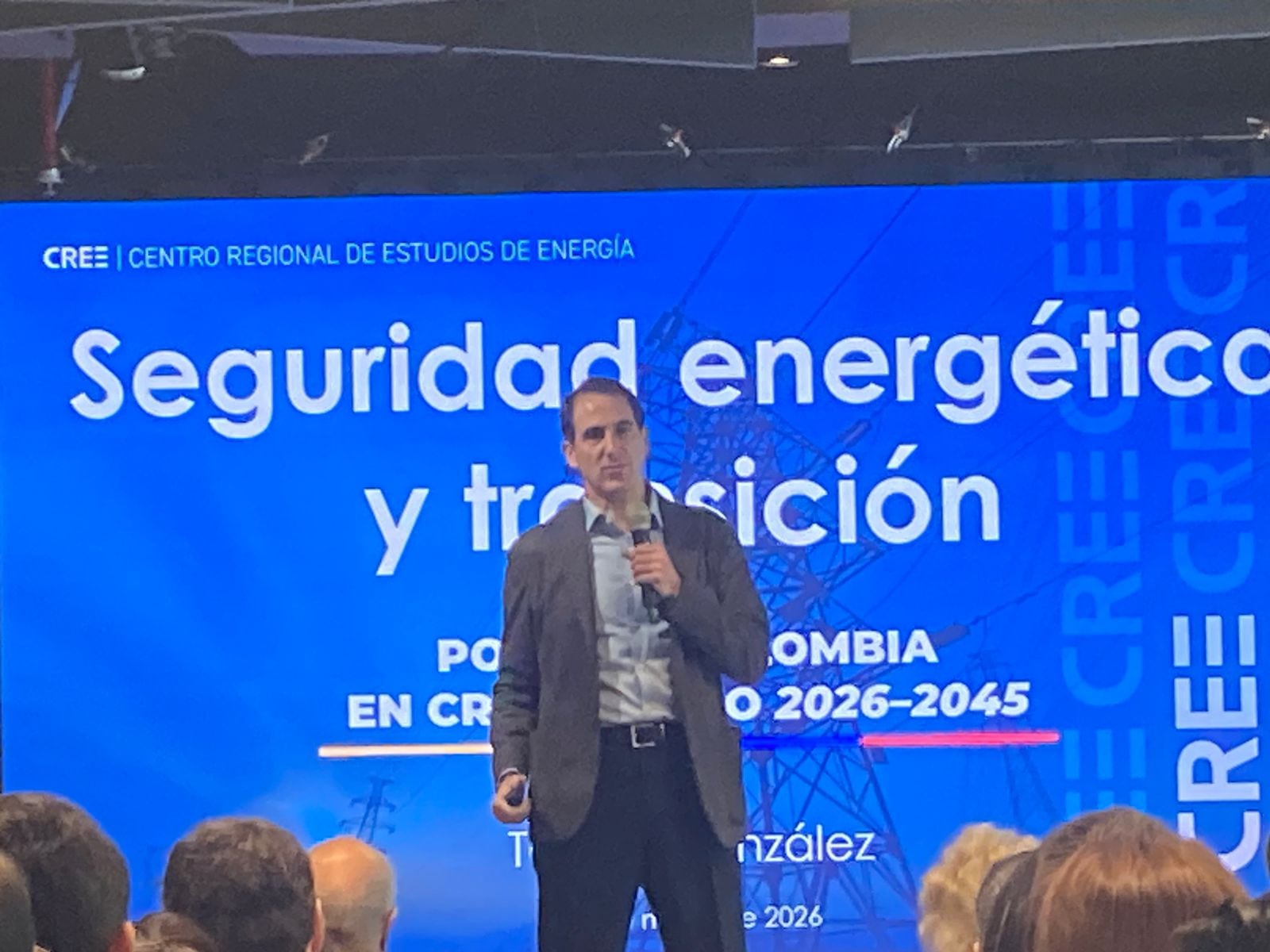 Tomás González, director de Cree, Centro Regional de Estudios de
Energía