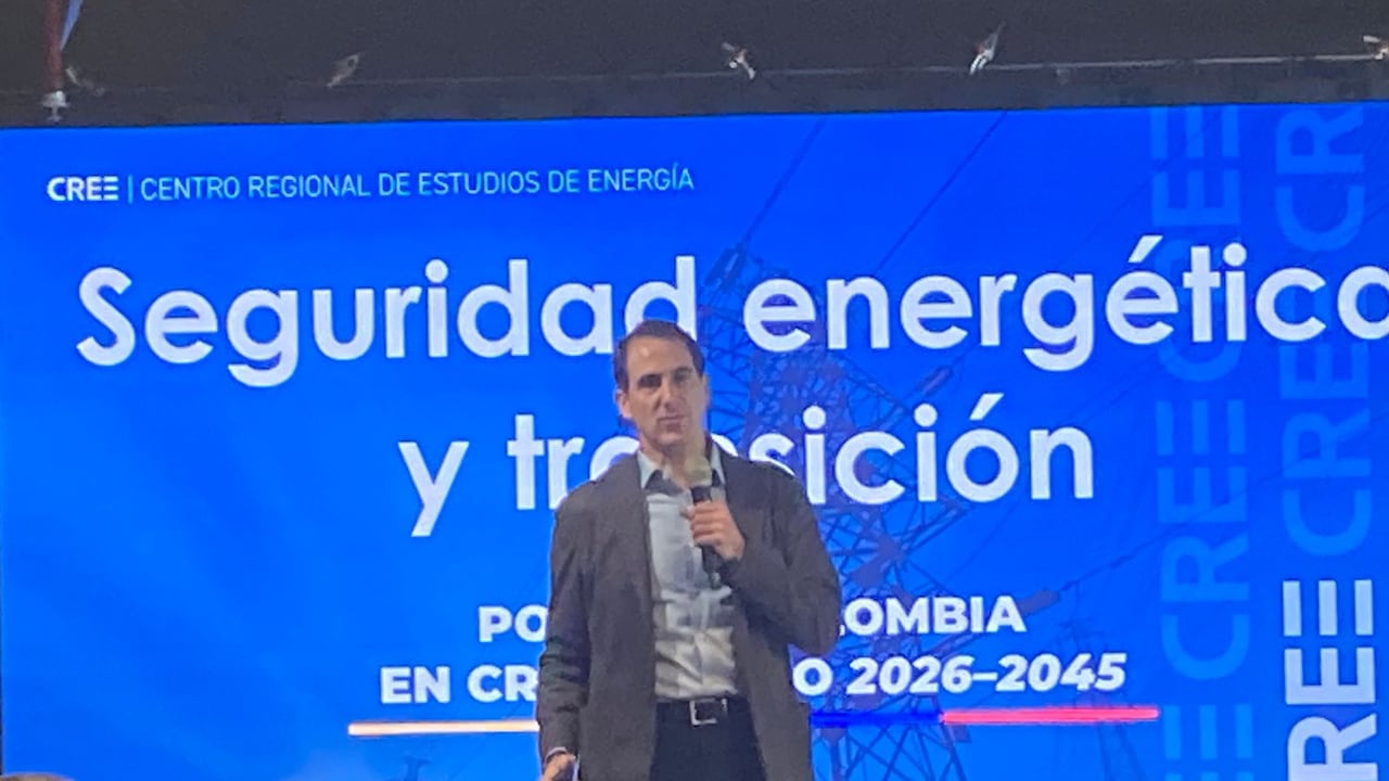 Tomás González, director de Cree, Centro Regional de Estudios de
Energía