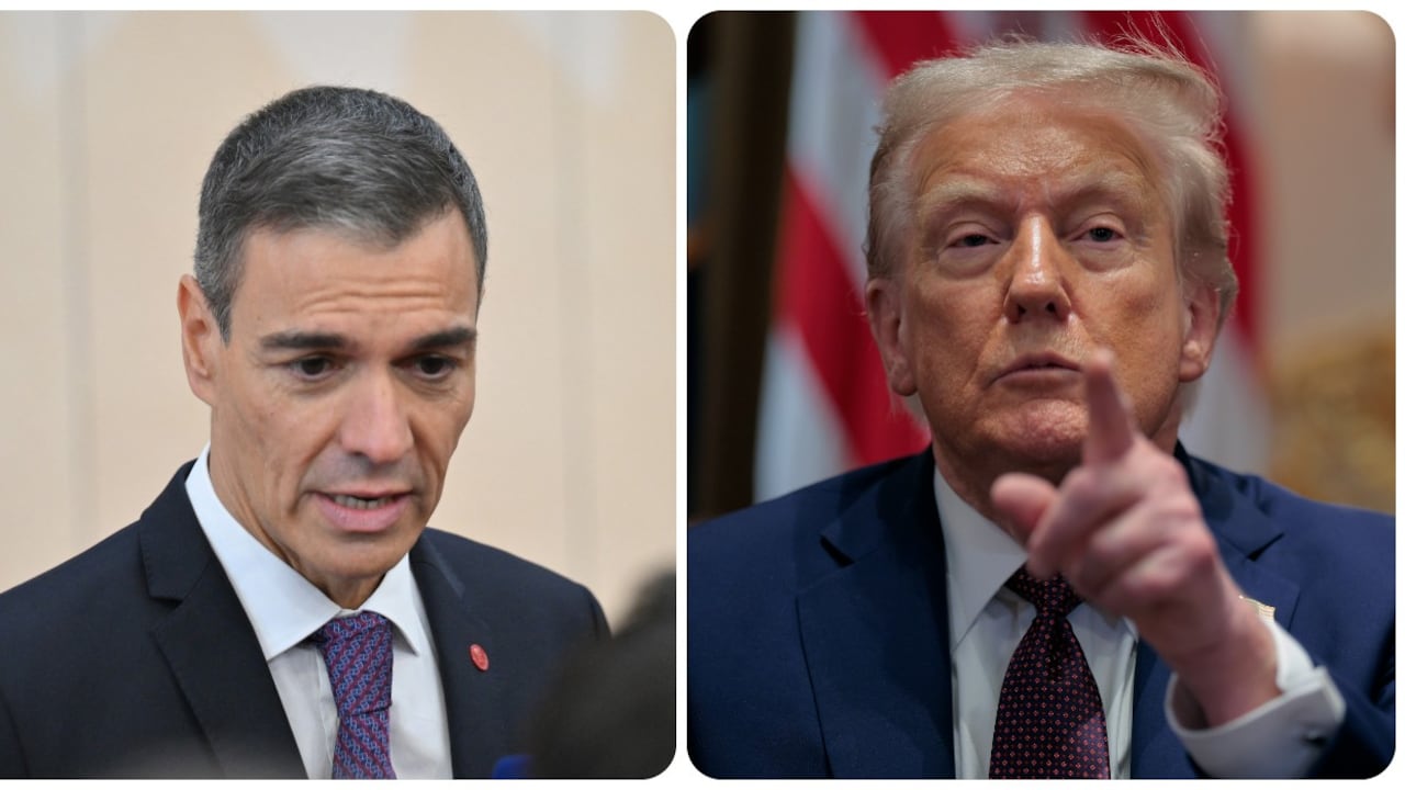 Donald Trump y Pedro Sánchez