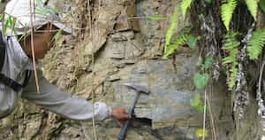 Los geólogos colombianos esperan que con el fin del conflicto puedan explorar nuevas zonas en país.