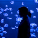 La presidenta de la Comunidad de Madrid, Isabel Díaz Ayuso, participa en la presentación de la gira del Acuario Atlantis, en Intu Xanadu, el 24 de abril de 2023 en Madrid, España. Atlantis Aquarium ofrece un recorrido adaptado para dar atención especializada a personas con Trastorno del Espectro Autista (TEA), con la participación de la Federación Autismo Madrid. Algunas de las novedades incorporadas han sido cascos con cancelación de ruido e identificaciones de colores, entre otras. (Foto de Alberto Ortega/Europa Press vía Getty Images)