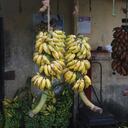 Bananos (Photo by Creative Touch Imaging Ltd./NurPhoto via Getty Images)