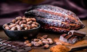 Efectos del cacao en la tensión.