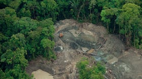 La minería ilegal y las refinerías a cielo abierto son las principales causas de la deforestación en el país. Chocó, Cauca y Nariño son los departamentos más afectados.