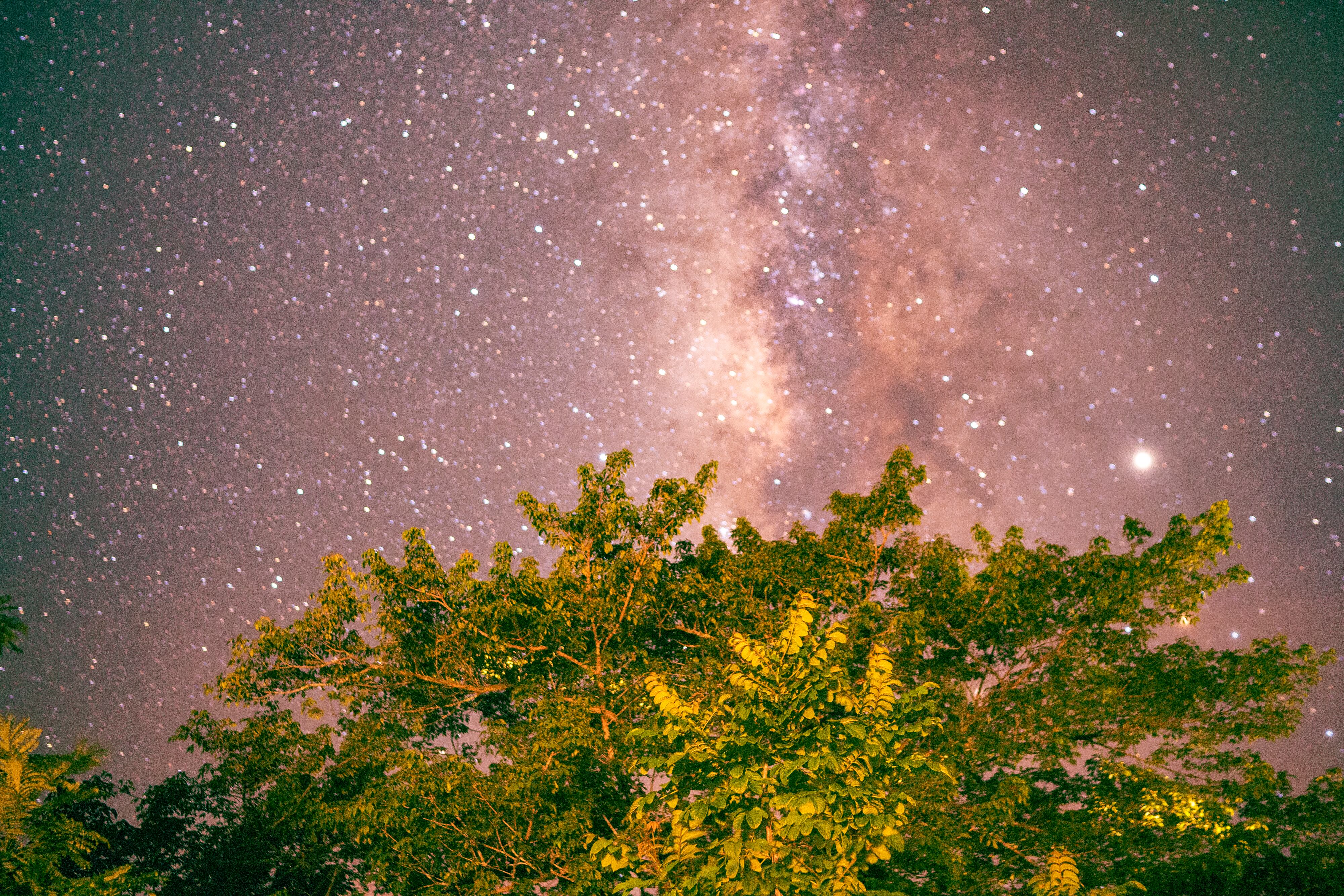 'Jarupia. El secreto de Ayapel', fotolibro de Chino Romero Hoyos / Raya Editorial