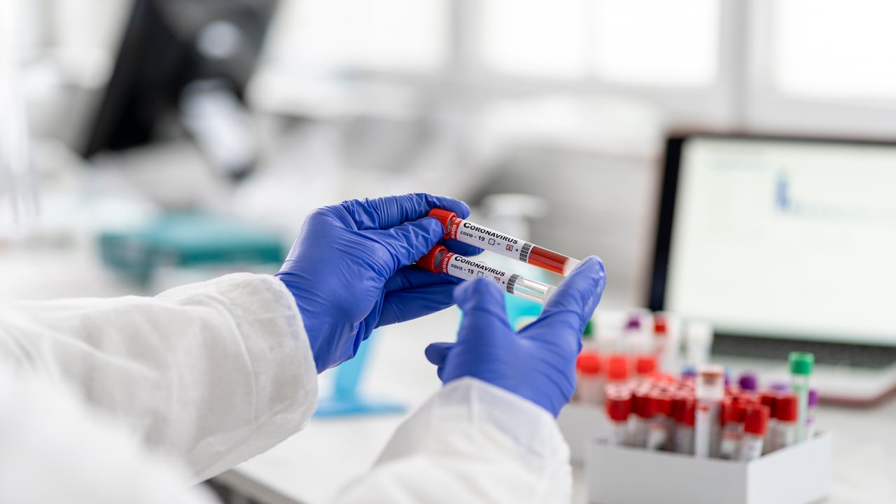 Cuando los glóbulos blancos se incrementan puede ser que el organismo está expuesto a una infección.