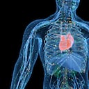 Fortalecer las defensas es fundamental para prevenir todo tipo de enfermedades.