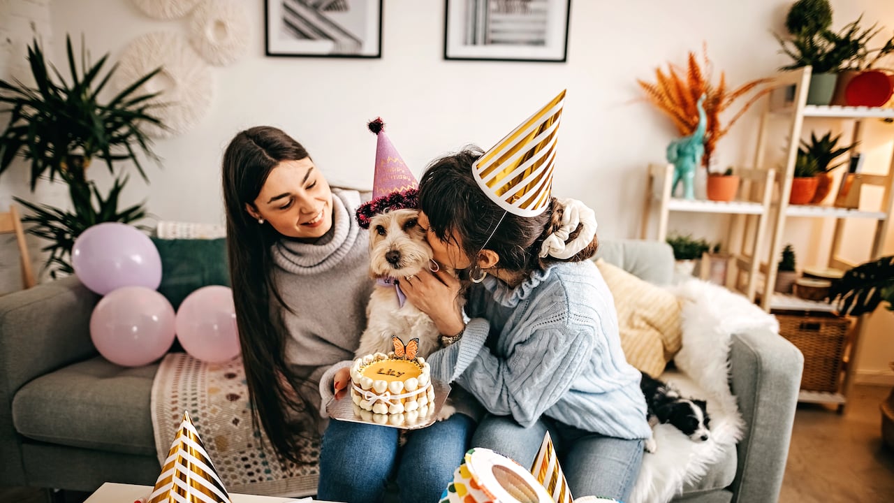 Perro de cumpleaños