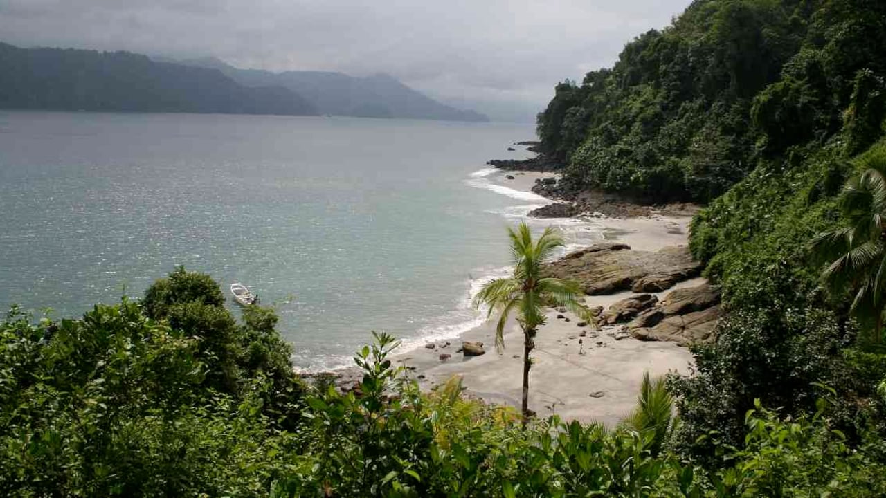El Parque Nacional Utría es vecino del Golfo de Tribugá, lo que pase en cualquiera de estos dos lugares repercute directamente en el otro. Foto: David Páez/PNN