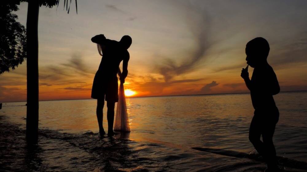 Proyecto IAPA-Visión Amazónica/ Wendell Medeiros