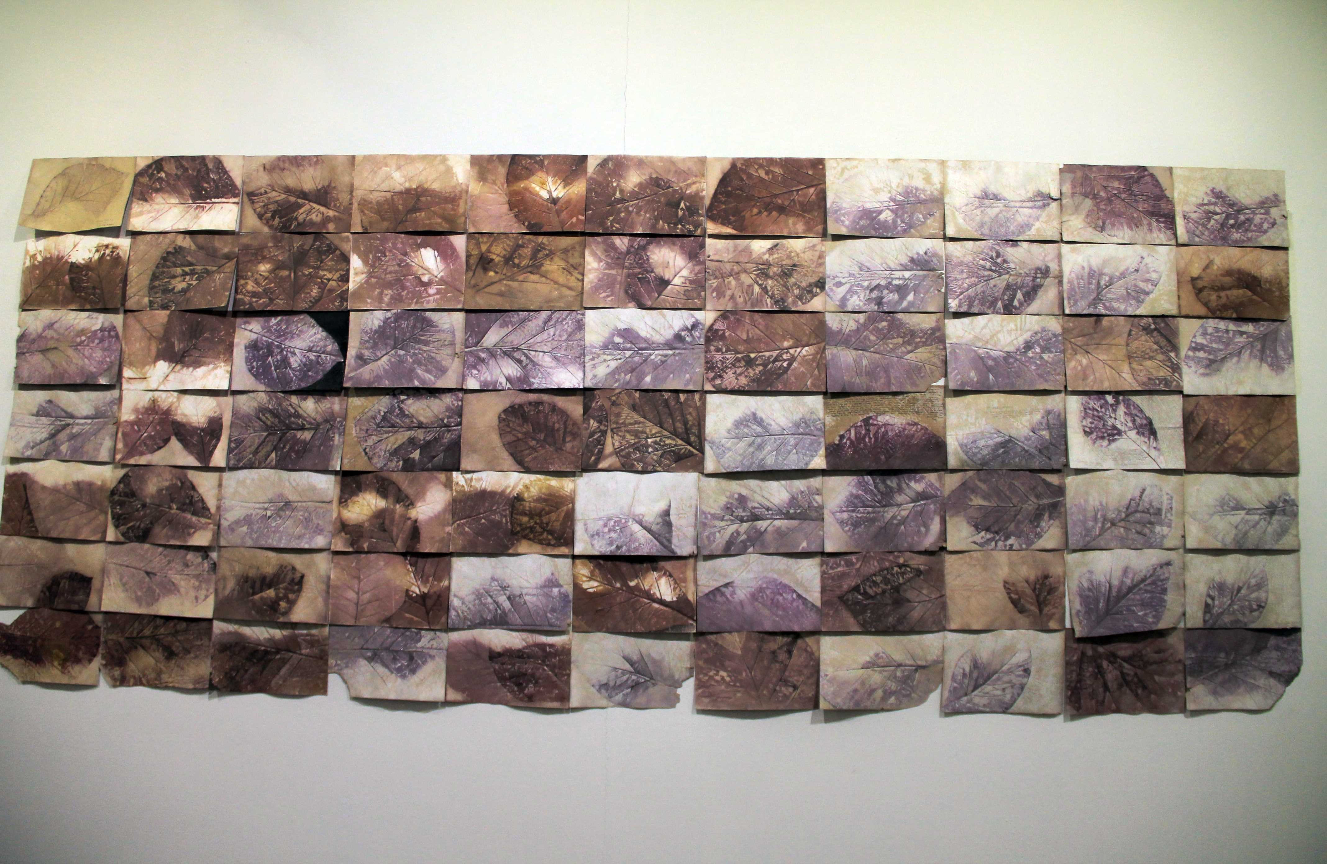 'Vestigiun Tectona Grandis'. Foto: Álvaro Tavera