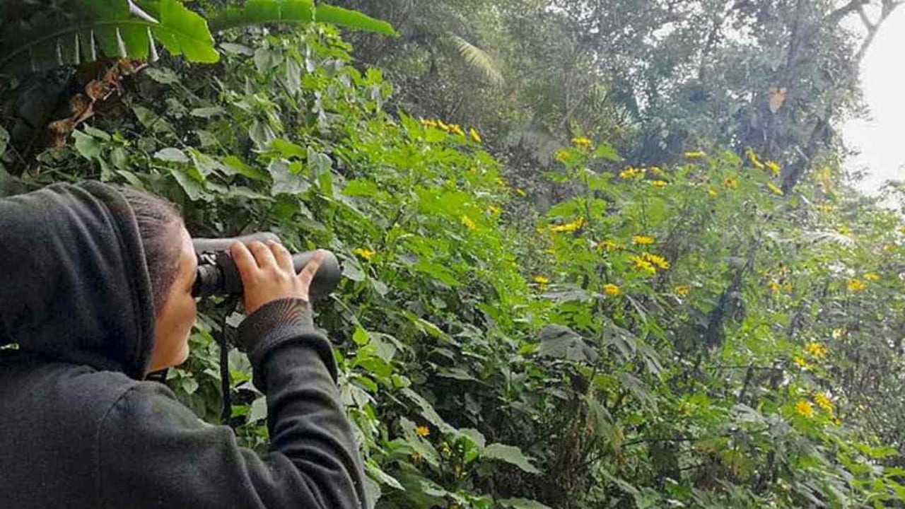 Avistamiento de aves realizado por estudiantes en Anserma (Caldas).