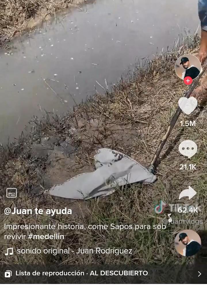 Niño que pesca sapos para comer en Medellín Foto: TikTok @juanrvlogs