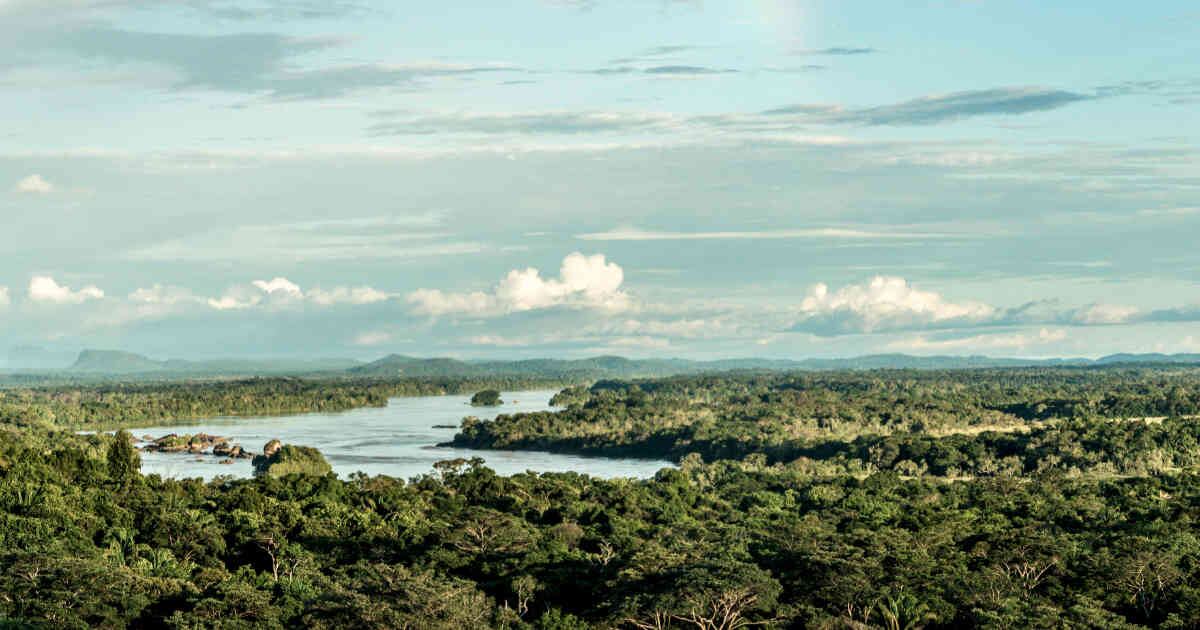 La protección de áreas estratégicas es clave para la conservación de los ecosistemas.  Foto: Giovanny Pulido / PNN