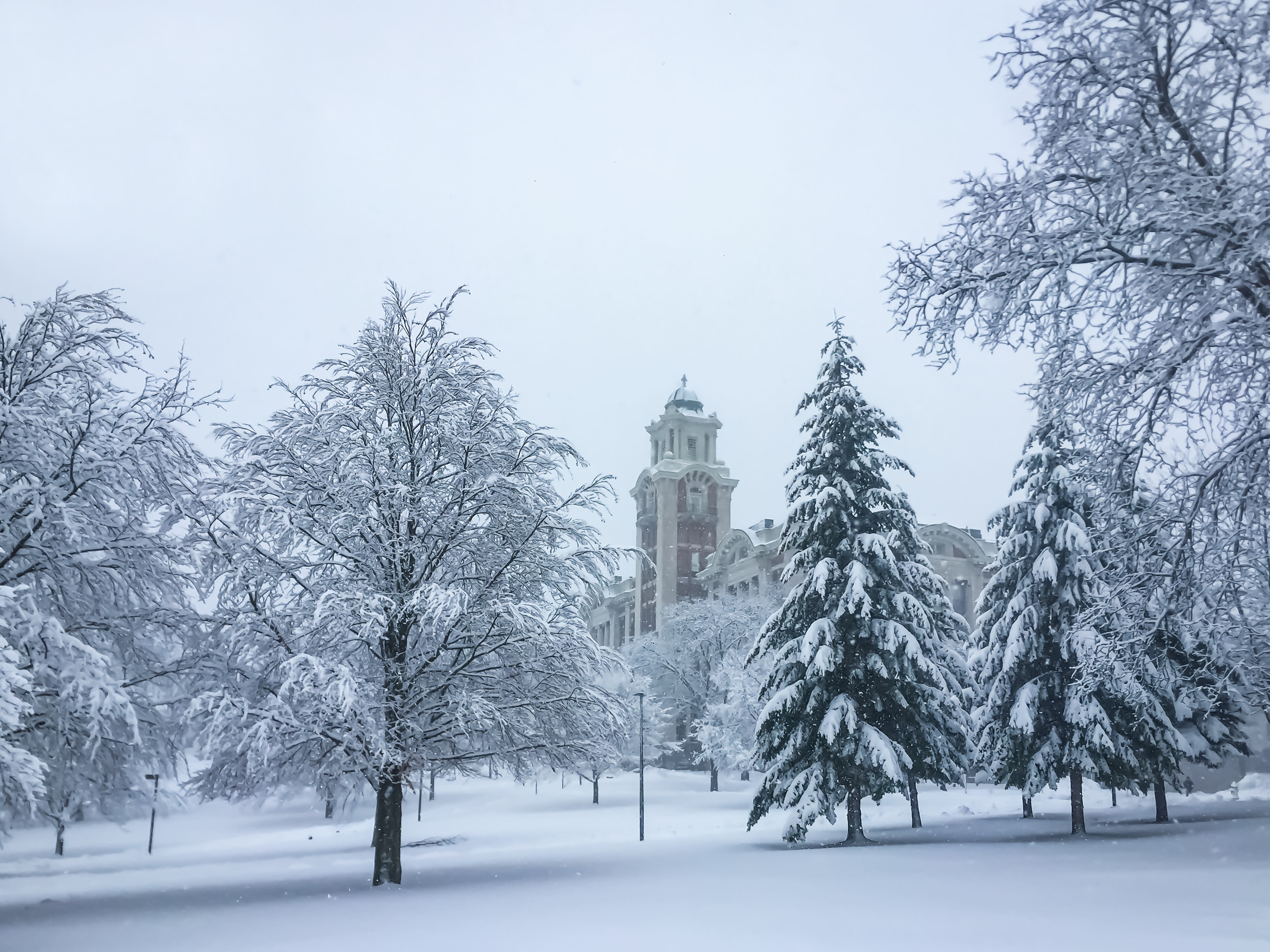 Campus de la Universidad de Syracuse durante el invierno, Nueva York. Árboles cubiertos de nieve con un edificio de arquitectura de estilo románico en el fondo.