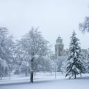 Campus de la Universidad de Syracuse durante el invierno, Nueva York. Árboles cubiertos de nieve con un edificio de arquitectura de estilo románico en el fondo.