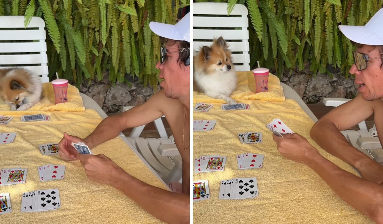 Rigoberto Urán causó gracia en sus seguidores con el video de su perro