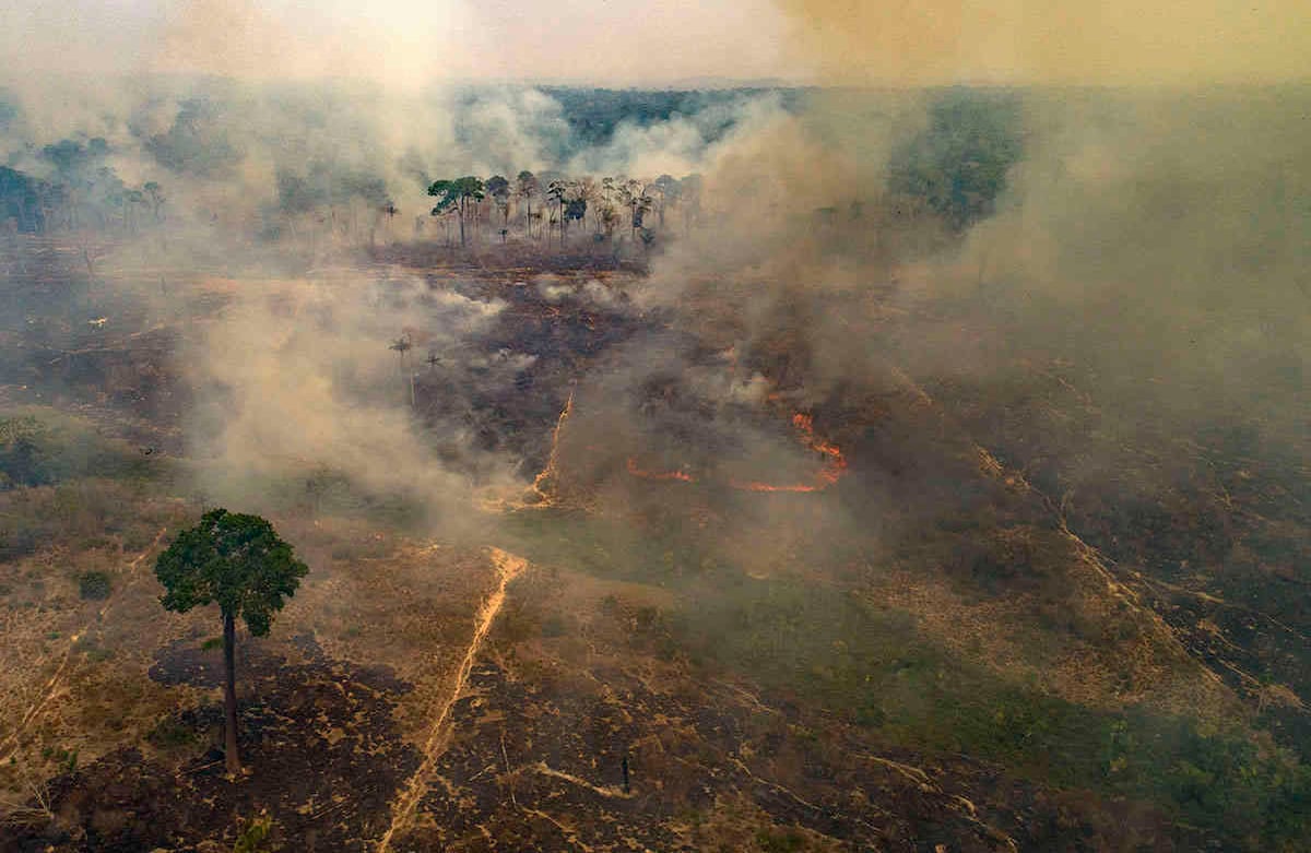 El fuego consume tierras deforestadas por ganaderos cerca de Novo Progresso, estado de Pará, Brasil, el domingo 23 de agosto de 2020. Foto: Andre Penner / AP 