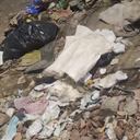 Los restos óseos fueron encontrados en una bolsa de bausura. Las autoridades investigan si se tratarían de una menor de edad.