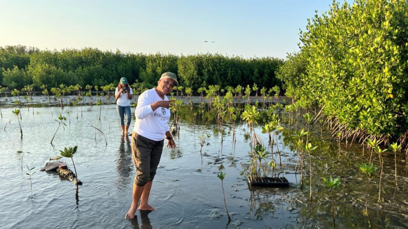 Ciénaga de Mallorquín, Barranquilla.