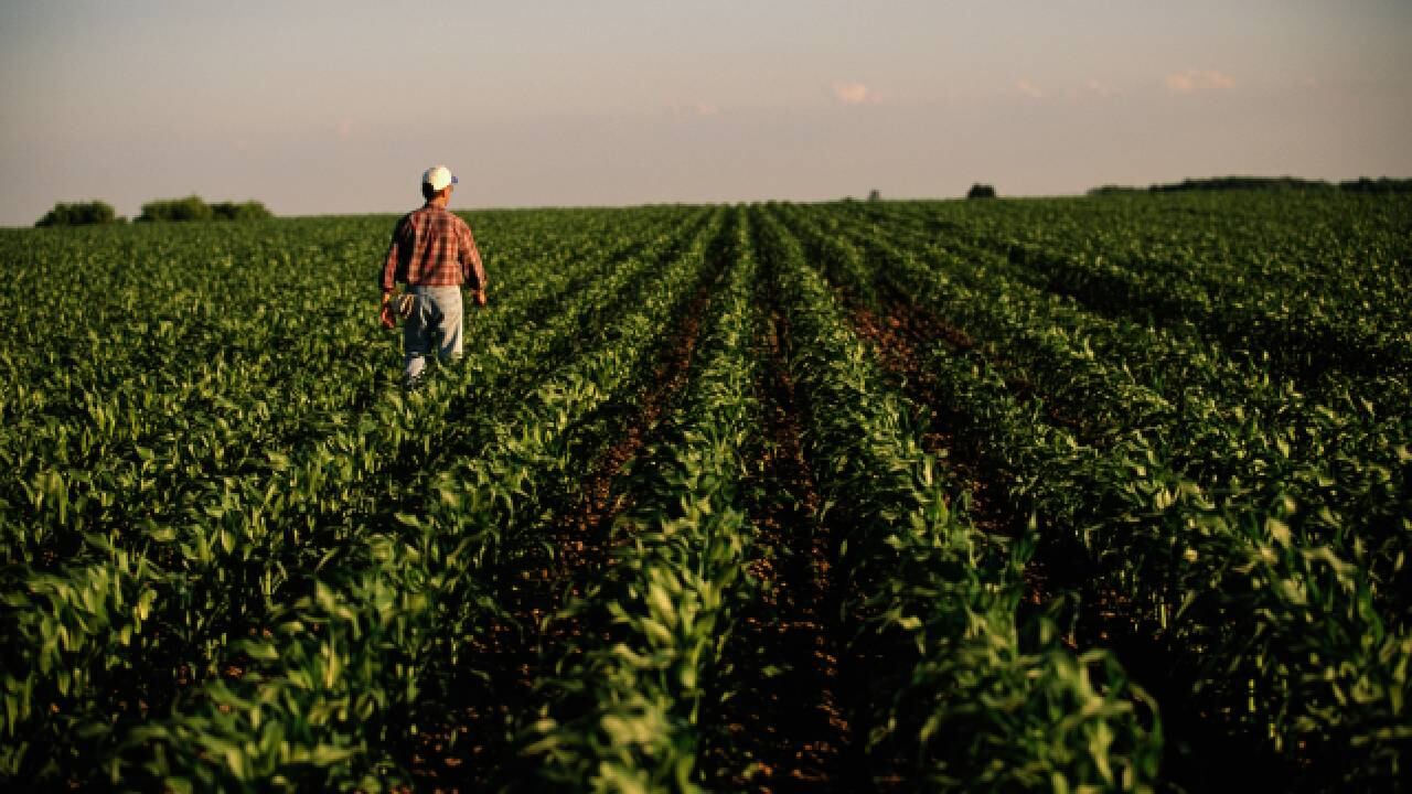 Los agricultores pueden ganar hasta 5.500.000 pesos colombianos.