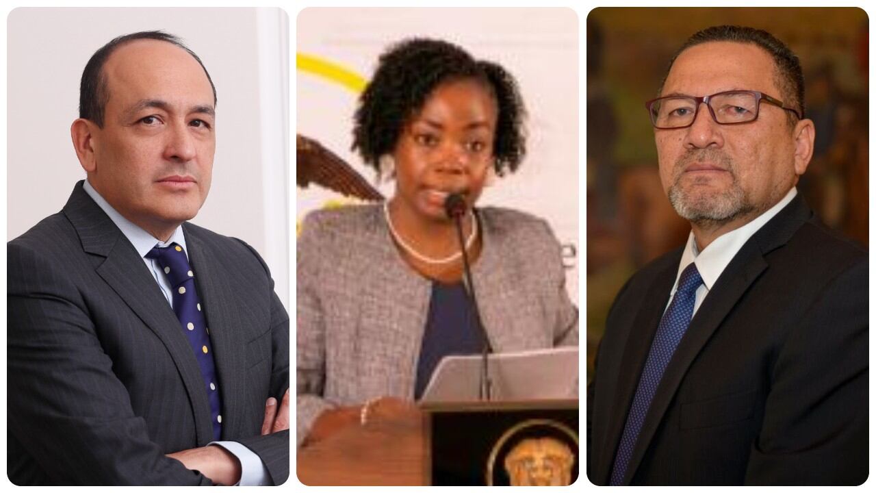 Lisneider Hinestroza, ternada para magistrada de la Corte Constitucional, tendría el apoyo de Vladimir Fernández y César Palomino.