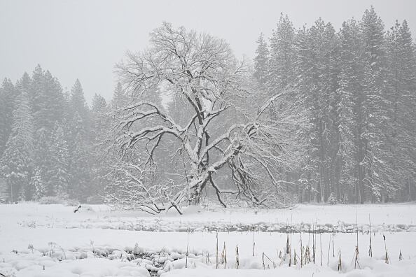 Así luce el Parque Nacional Yosemite, en California, ante las tormentas que vienen azotando a la región.