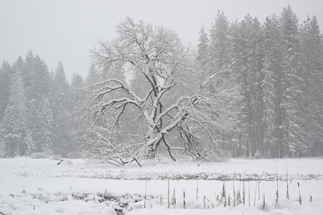 Así luce el Parque Nacional Yosemite, en California, ante las tormentas que vienen azotando a la región.