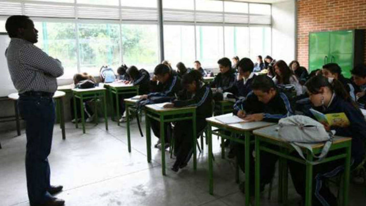 Facilitar la educación del alumno y fomentar sus potencialidades, es obligación de los colegios.
