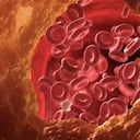 El consumo de pistacho reduciría los niveles de colesterol en la sangre.