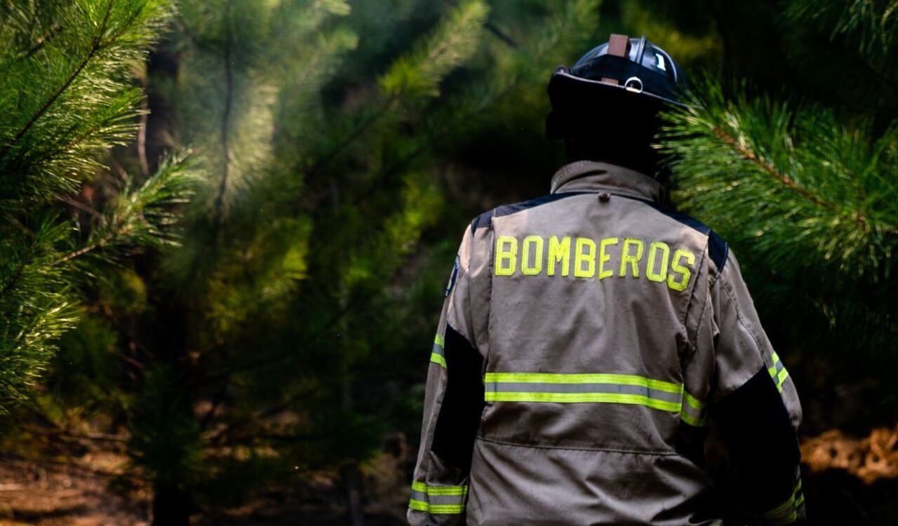 Bomberos de Chile y del mundo se han sumado para controlar esta catástrofe ambiental