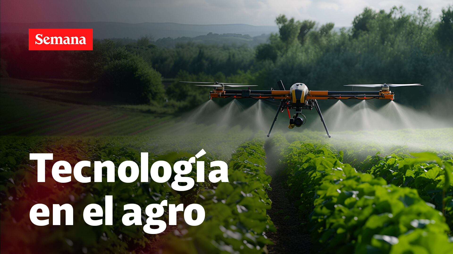 Foro Colombia Rural 2024