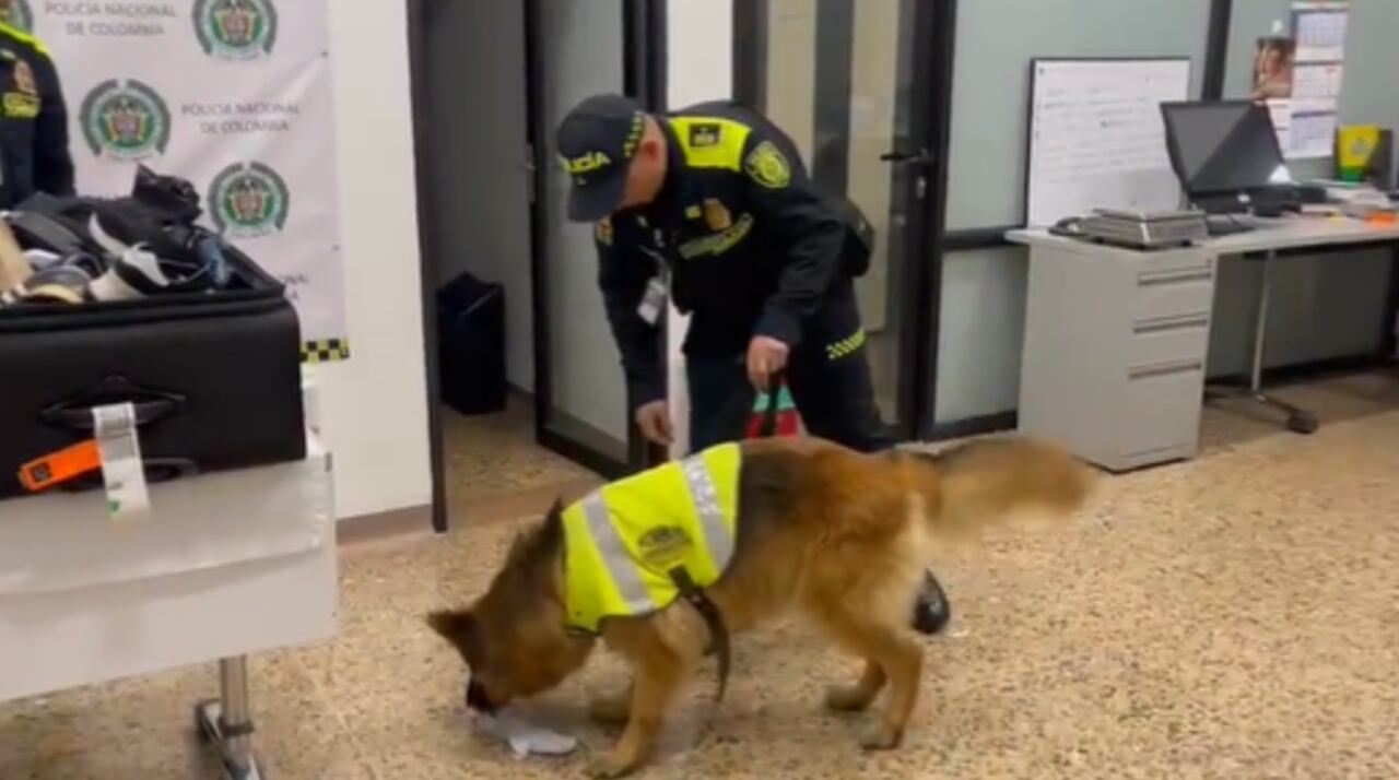 Canino ayudó a confirmar el hallazgo de cocaína en la maleta del exfutbolista.