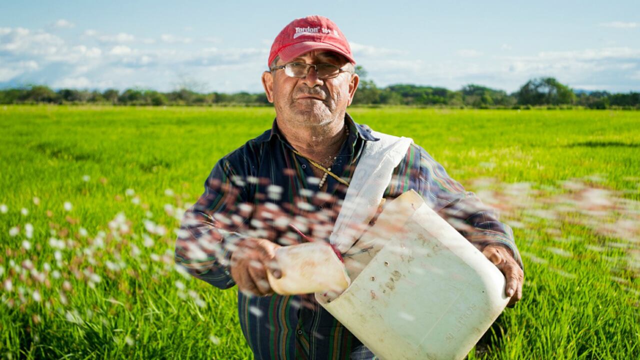 En el primer trimestre de 2015 la cifra de las importaciones de fertilizantes se ubicó en 414.768 toneladas.