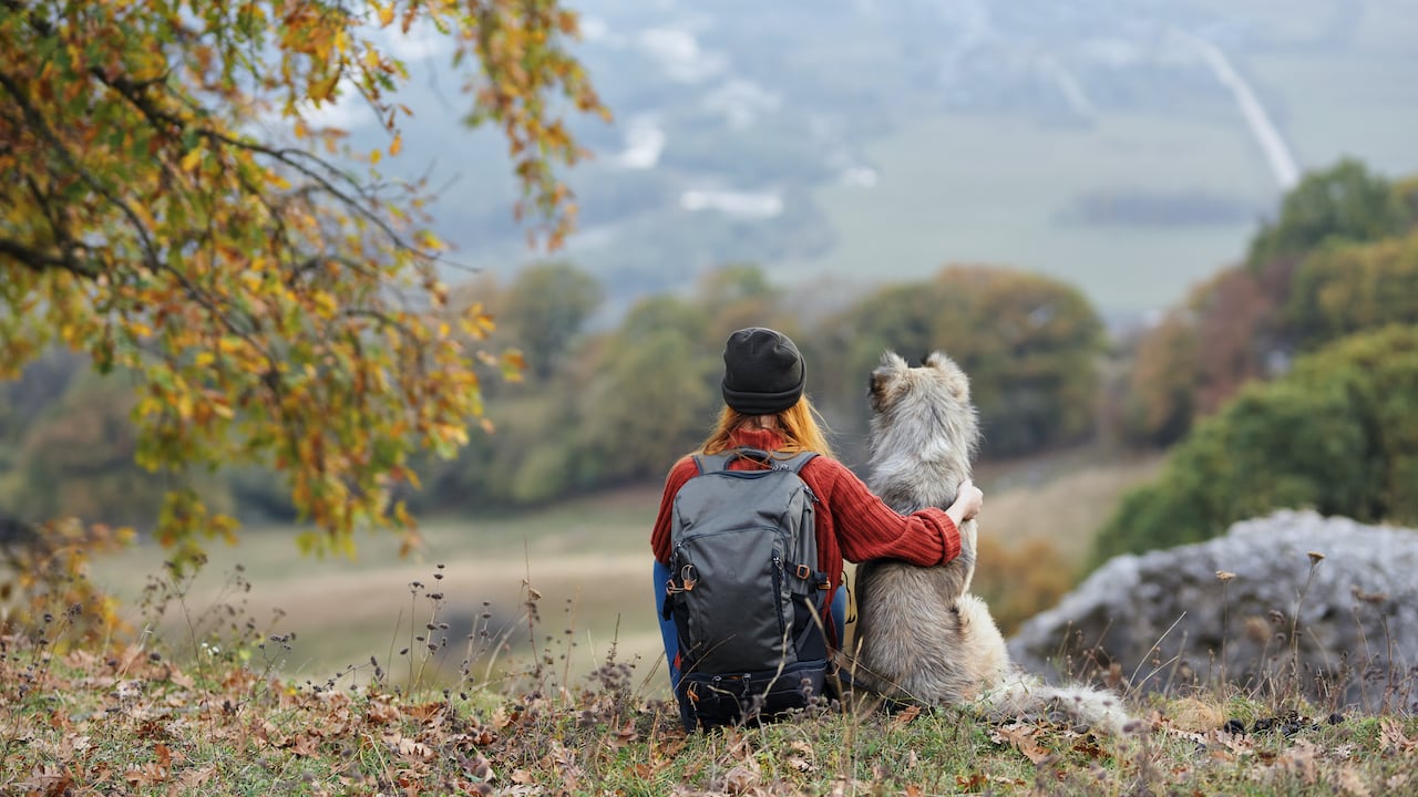Plan de senderismo con su mascota cerca a Bogotá