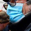 Parosmia por covid-19: ¿cuáles son los síntomas?