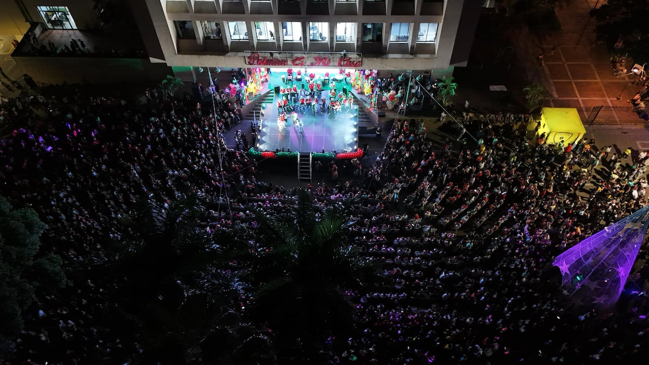 Alumbrado navideño en Palmira 2024