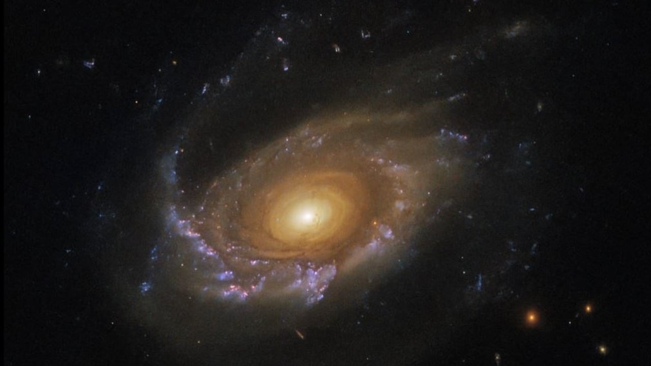 Galaxia medusa JW39
ESA/HUBBLE & NASA, M. GULLIEUSZIK AND THE GASP TEA
26/5/2023