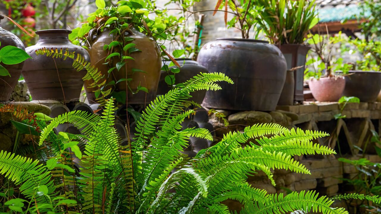 En los últimos años ha ido creciendo el interés entre las personas por conseguir soluciones ecológicas para el cuidado de la casa y el jardín.