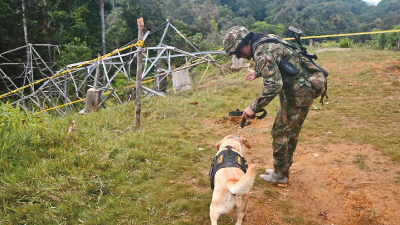 TORRES VOLADAS - En las últimas dos semanas hubo más de diez torres derribadas. Quedaron a oscuras varias ciudades, una de ellas Buenaventura, que estuvo sin luz cinco días por la voladura de esta torre.