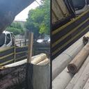 Estos son los postes que están en la zona del barrio La Ceiba