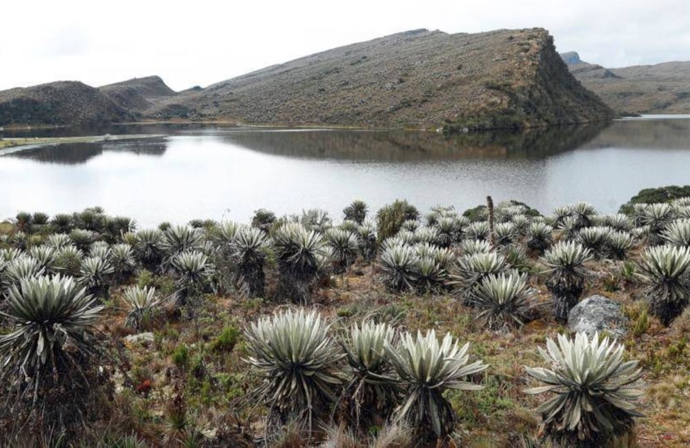 Sumapaz, el páramo más grande del mundo.