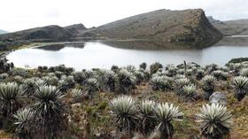 Páramo de Sumapaz.