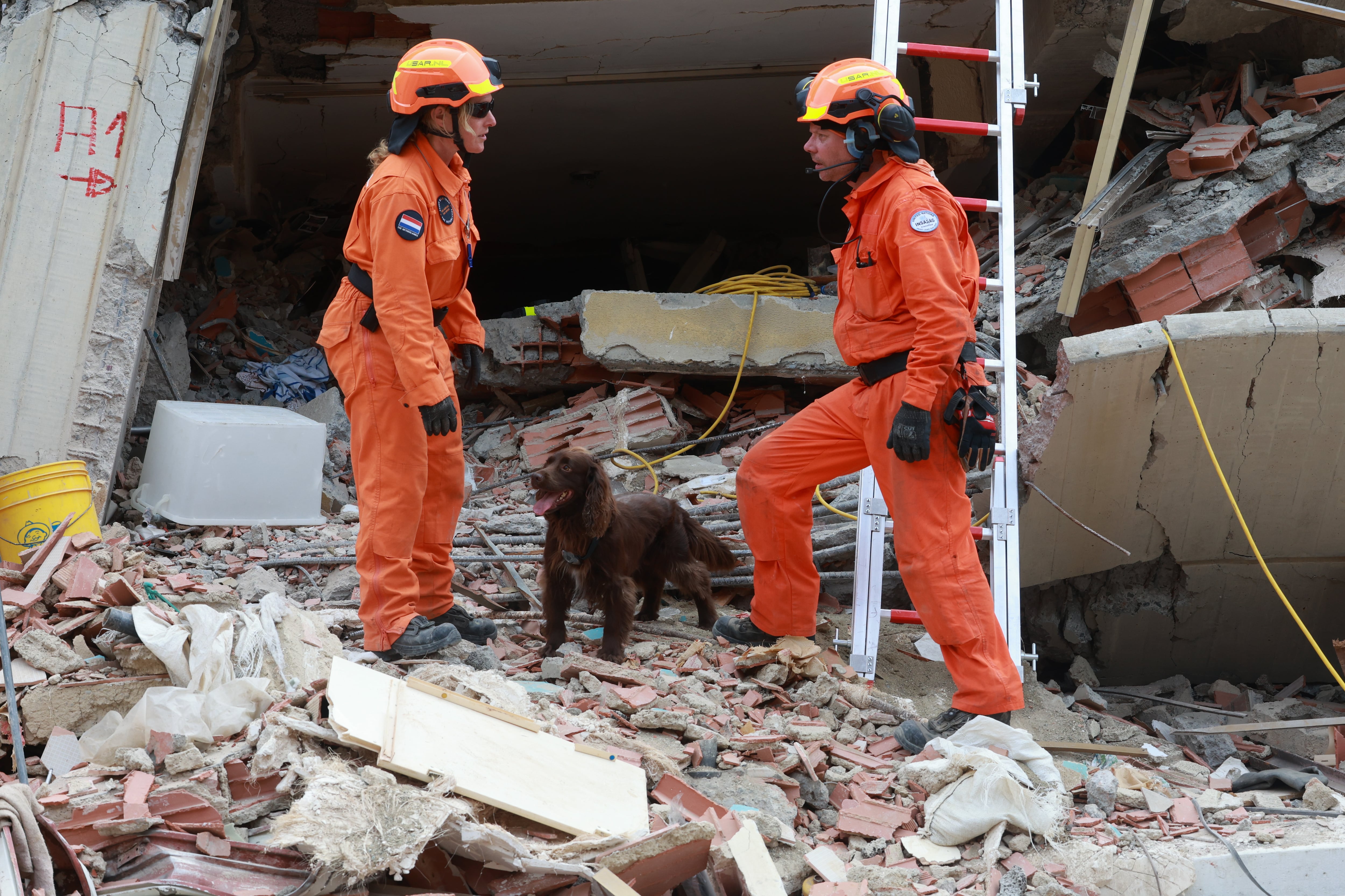 Equipos de rescate de los Países Bajos realizan operaciones de búsqueda y rescate tras un terremoto en La Guaira, Venezuela, el 28 de junio de 2026.