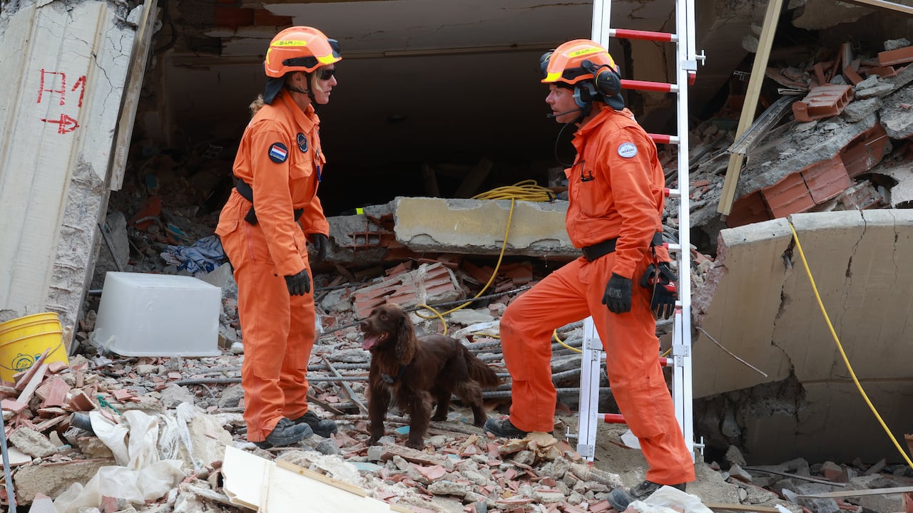 Equipos de rescate de los Países Bajos realizan operaciones de búsqueda y rescate tras un terremoto en La Guaira.