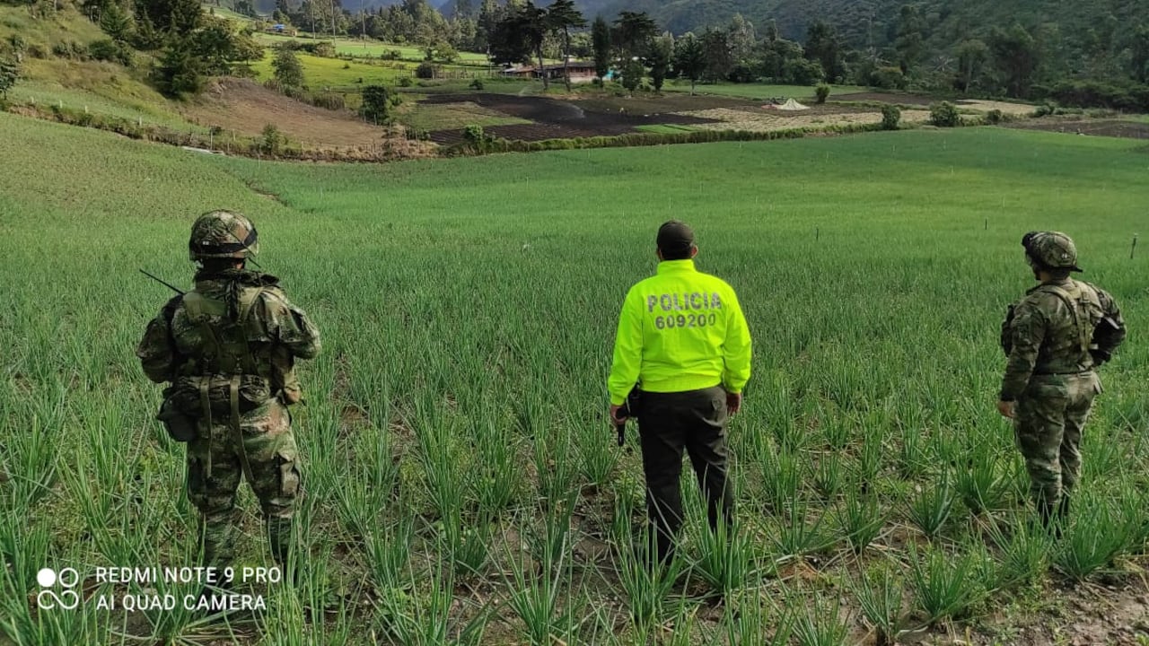 Aplican extinción de dominio a bienes de narcos en el Valle