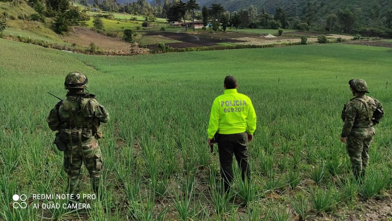 Aplican extinción de dominio a bienes de narcos en el Valle