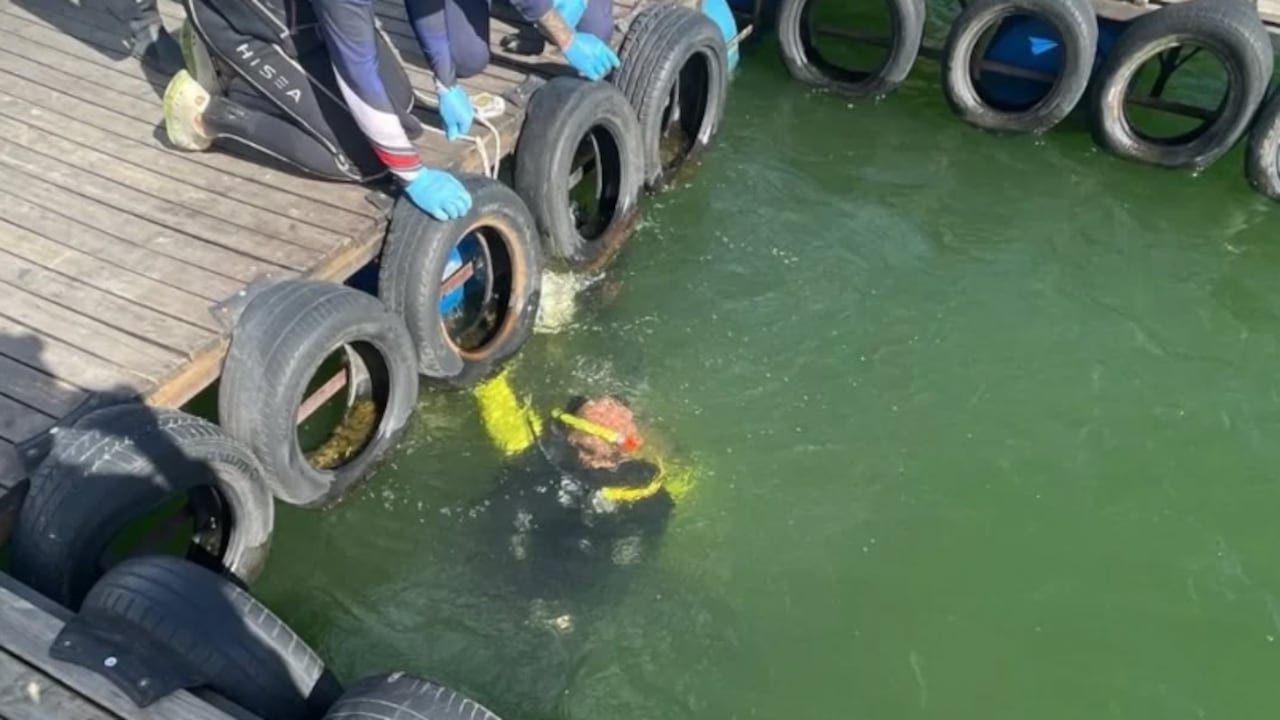 Hombre murió tras lanzarse al embalse Guatapé a recuperar un teléfono celular.