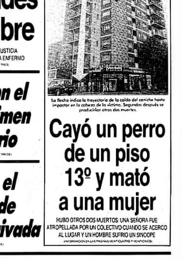 Tragedia en Argentina: perrito cayó desde un 13.º piso y provocó tres muertes; esto es lo que se sabe