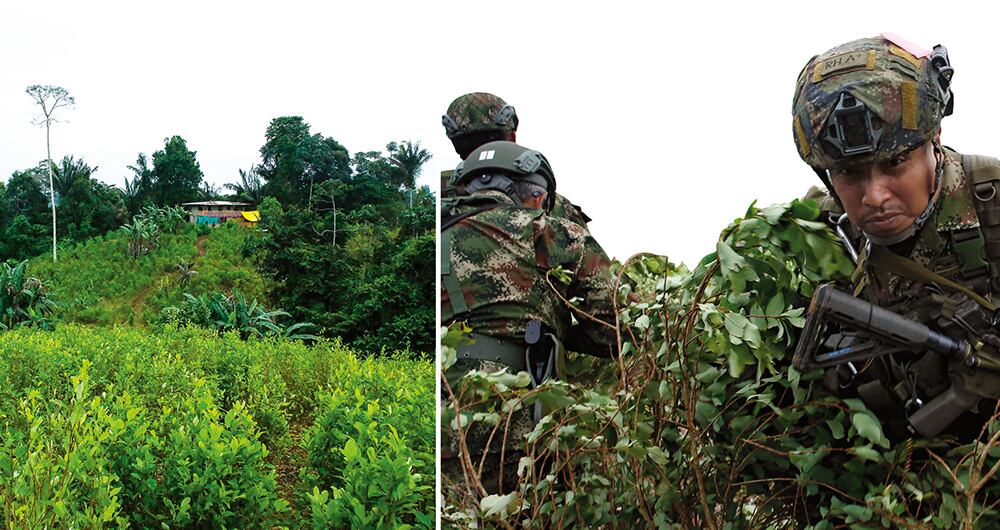 Cuando hay operativos de erradicación manual, las disidencias obligan a la comunidad a realizar asonadas contra miembros de la fuerza pública.